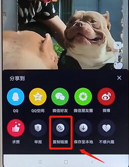 微视APP去掉水印详细操作