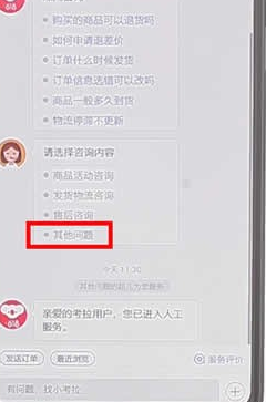 在网易考拉里查找人工客服操作流程