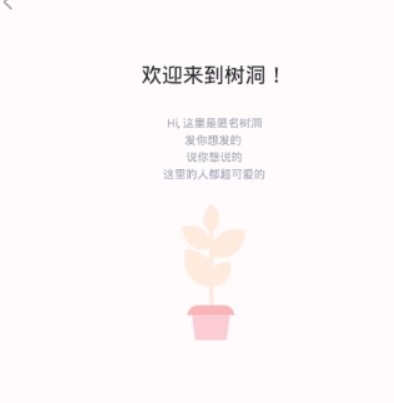 最右树洞怎么没有了是什么情况? 最右树洞在哪里可以玩?