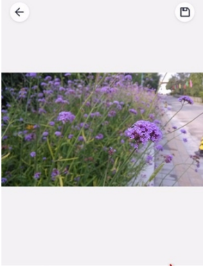 天天P图文字编辑方法详解 天天P图如何添加文字