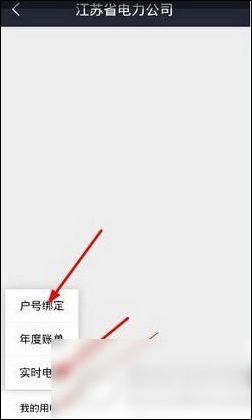 电e宝中查看用电量具体操作方法
