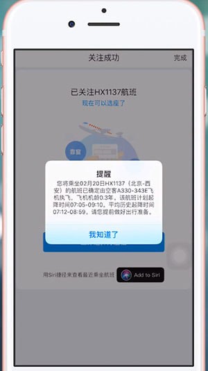 飞常准App中查询航班动态的具体操作方法