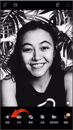 pixaloop中弄蝴蝶特效具体操作流程