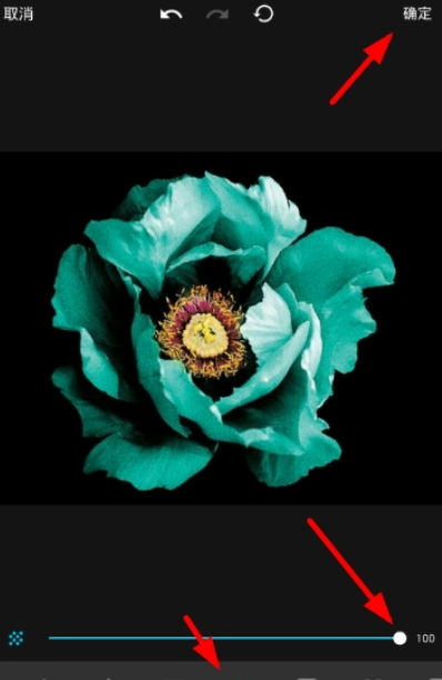 Mix滤镜大师如何添加噪点 添加文字水印教程