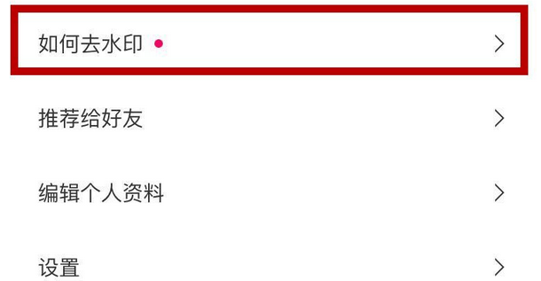 Versa相机中将软件logo去除具体操作步骤
