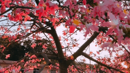 大片app使用方法介绍 大片app如何用