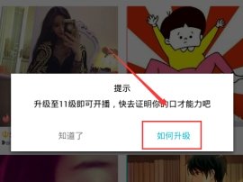 陪我APP中快速升级的具体步骤介绍