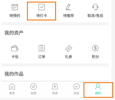 在彩贝壳APP中进行打卡具体操作步骤