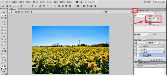 fireworks快速调节图片大小具体操作流程