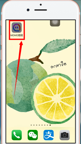 陌陌app中怎么退群 具体操作流程