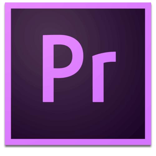 使用premiere添加图片色彩度的具体操作步骤