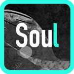 soul中将瞬间动态置顶具体操作流程