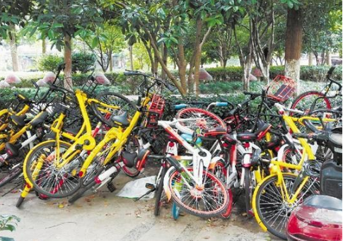 共享单车能停在小区吗 禁止共享单车进小区合法吗