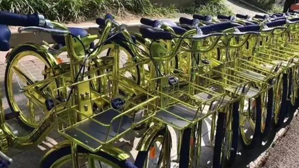 小金车是什么app 共享小金车多少钱