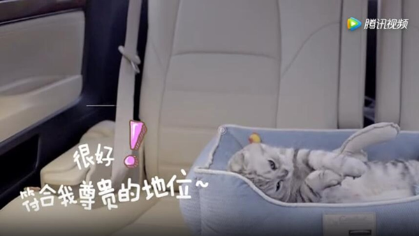 菜鸟裹裹萌急送是什么 菜鸟裹裹萌急送如何玩