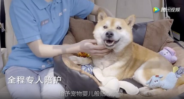 菜鸟裹裹萌急送是什么 菜鸟裹裹萌急送如何玩