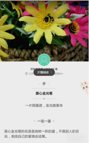 形色APP识别花名详细操作流程