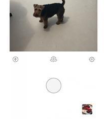 Prisma软件具体使用步骤、