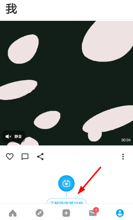 猫饼中怎么样设置转场?详细操作步骤