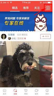 有宠app怎么发布动态 具体操作步骤介绍