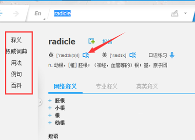 有道词典如何进行图解_具体操作流程