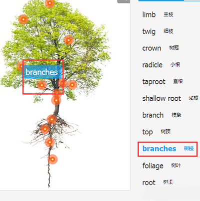 有道词典如何进行图解_具体操作流程