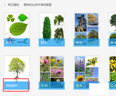 有道词典如何进行图解_具体操作流程