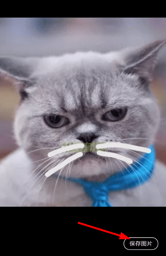 快点阅读中将图片保存具体操作流程