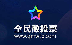 全民投票软件详细使用流程讲述