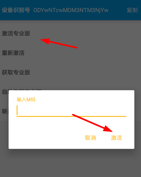 神奇磁力怎么激活专业版？具体操作步骤
