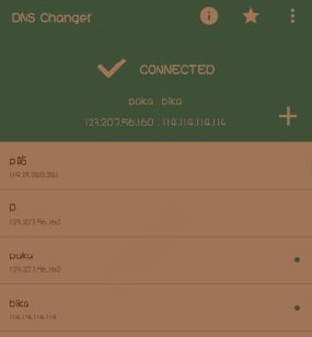 哔咔漫画怎么修改dns_哔咔漫画修改dns方法介绍