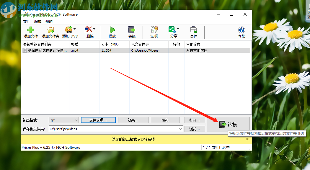 使用Prism视频文件转换器将视频转换成gif的方法步骤