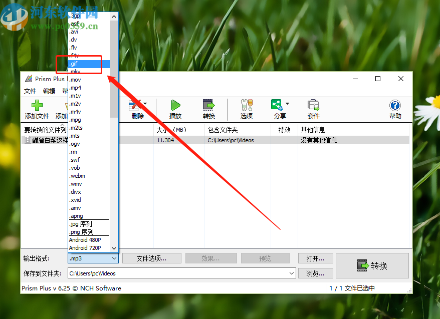 使用Prism视频文件转换器将视频转换成gif的方法步骤