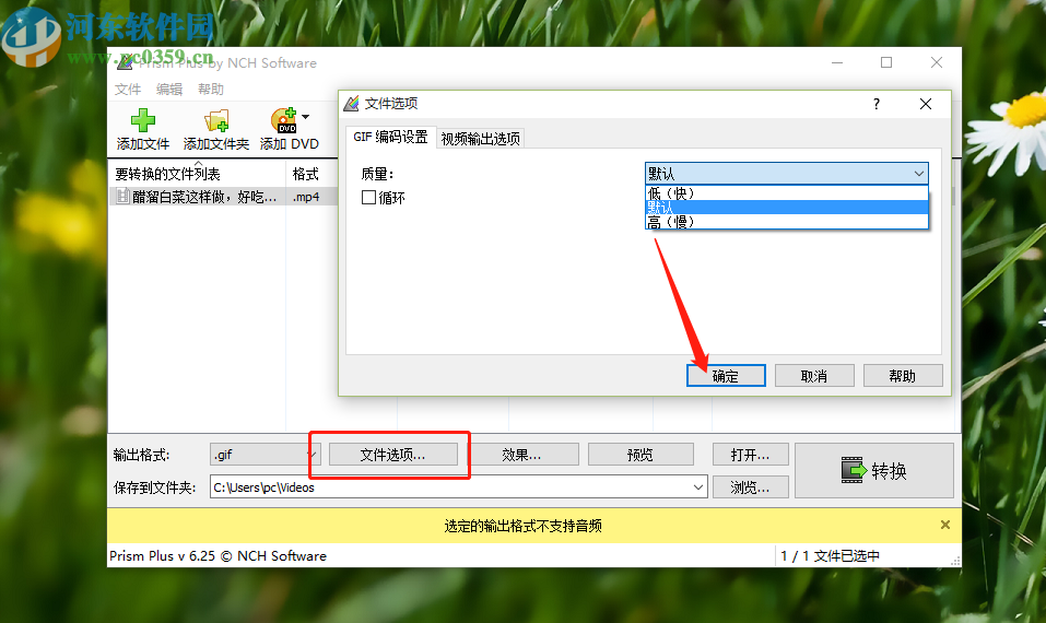 使用Prism视频文件转换器将视频转换成gif的方法步骤
