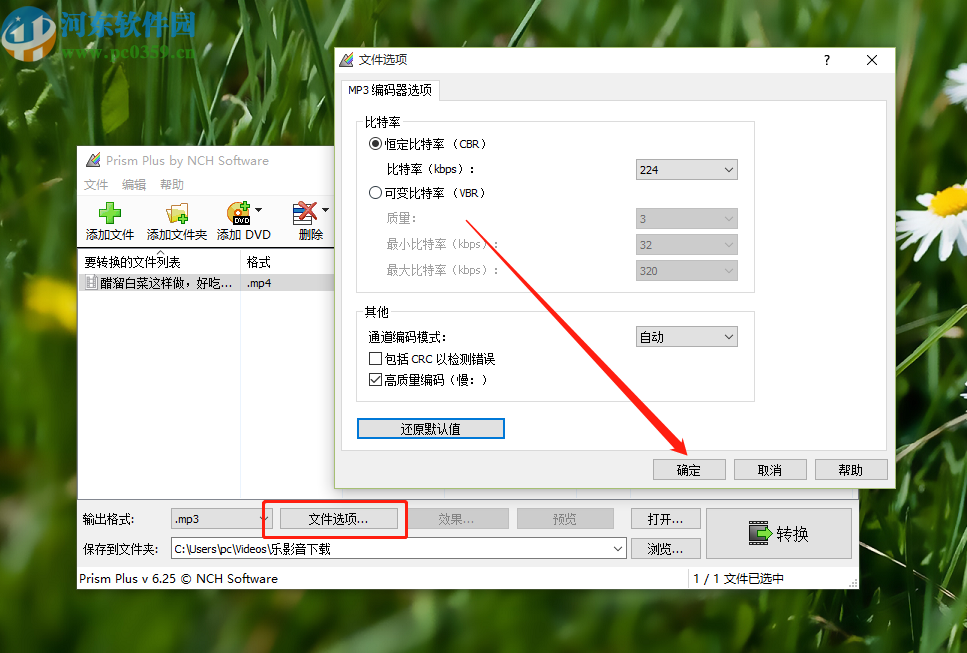 Prism视频文件转换器将视频转换成MP3的操作方法