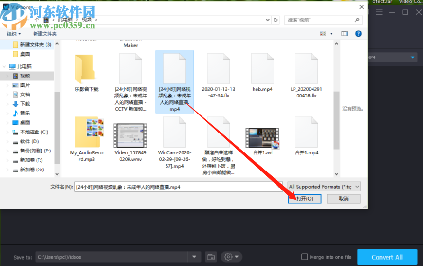 使用Vidmore给视频添加水印的方法