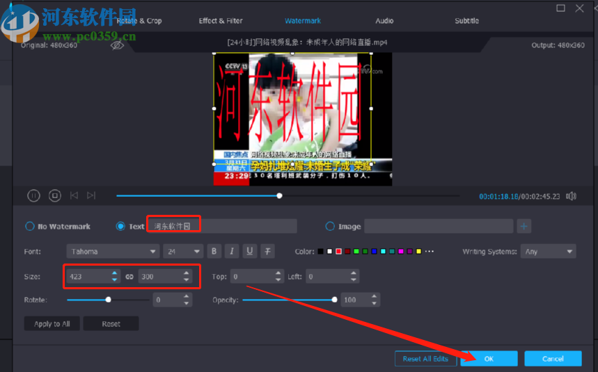 使用Vidmore给视频添加水印的方法