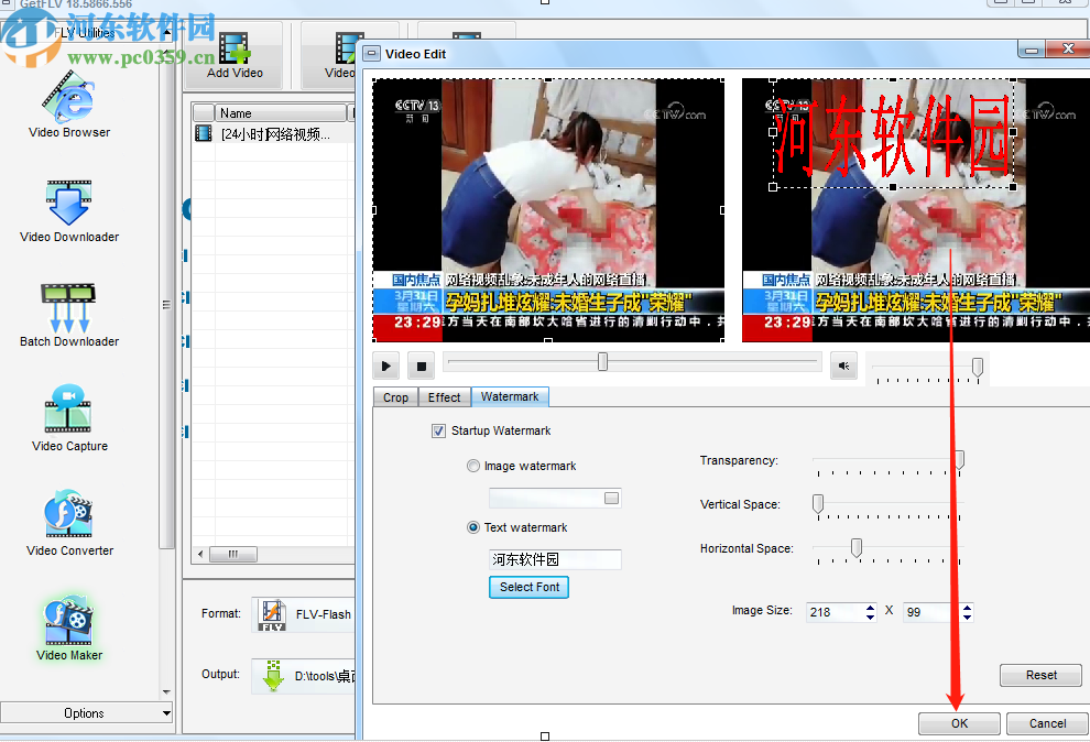 GetFLV Pro给视频添加水印的方法步骤