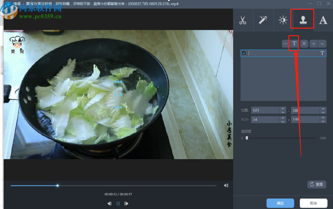 使用AceThinker Video Keeper给视频添加水印的操作方法
