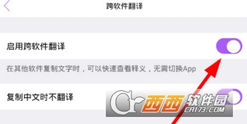 翻译君复制唤醒翻译怎么操作 复制唤醒翻译设置方法