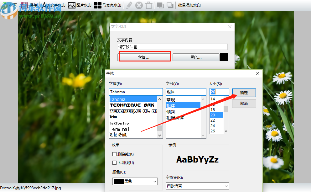 神奇图像处理软件给图片添加水印的操作方法