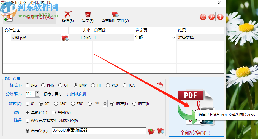 使用TriSun PDF to JPG将PDF转换成BMP图片的方法