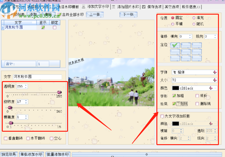 天音批量加水印大师给图片添加文字水印的操作方法