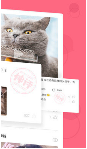 皮皮虾社区怎么样？皮皮虾社区和内涵段子一样吗？