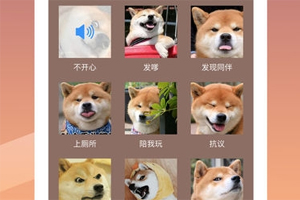 人狗沟通交流器真的吗 到底有没有用