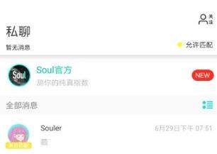 soul私聊暂时不给你用是什么情况？在哪看关注自己的人