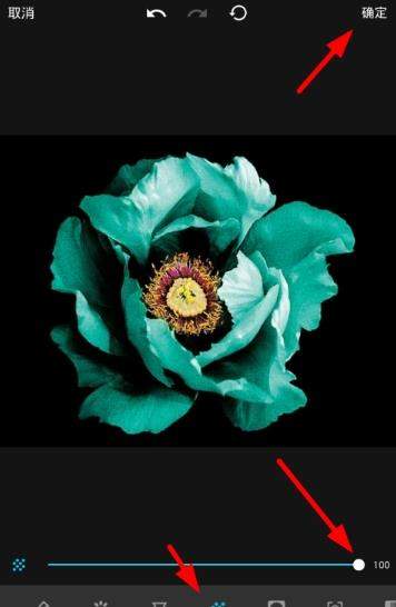 Mix滤镜大师如何添加噪点 怎么添加文字水印