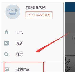pixiv如何投稿_pixiv如何批量保存图片【图】