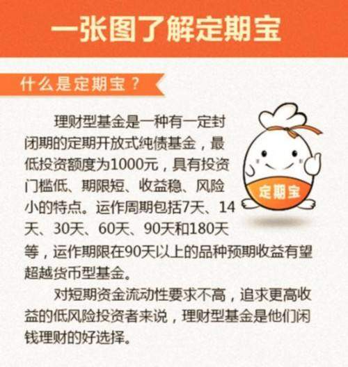 定期宝为什么要进行风险测评？怎样进行基金申购？