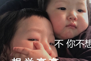 不你不想表情怎么制作 不你不想图生成方法